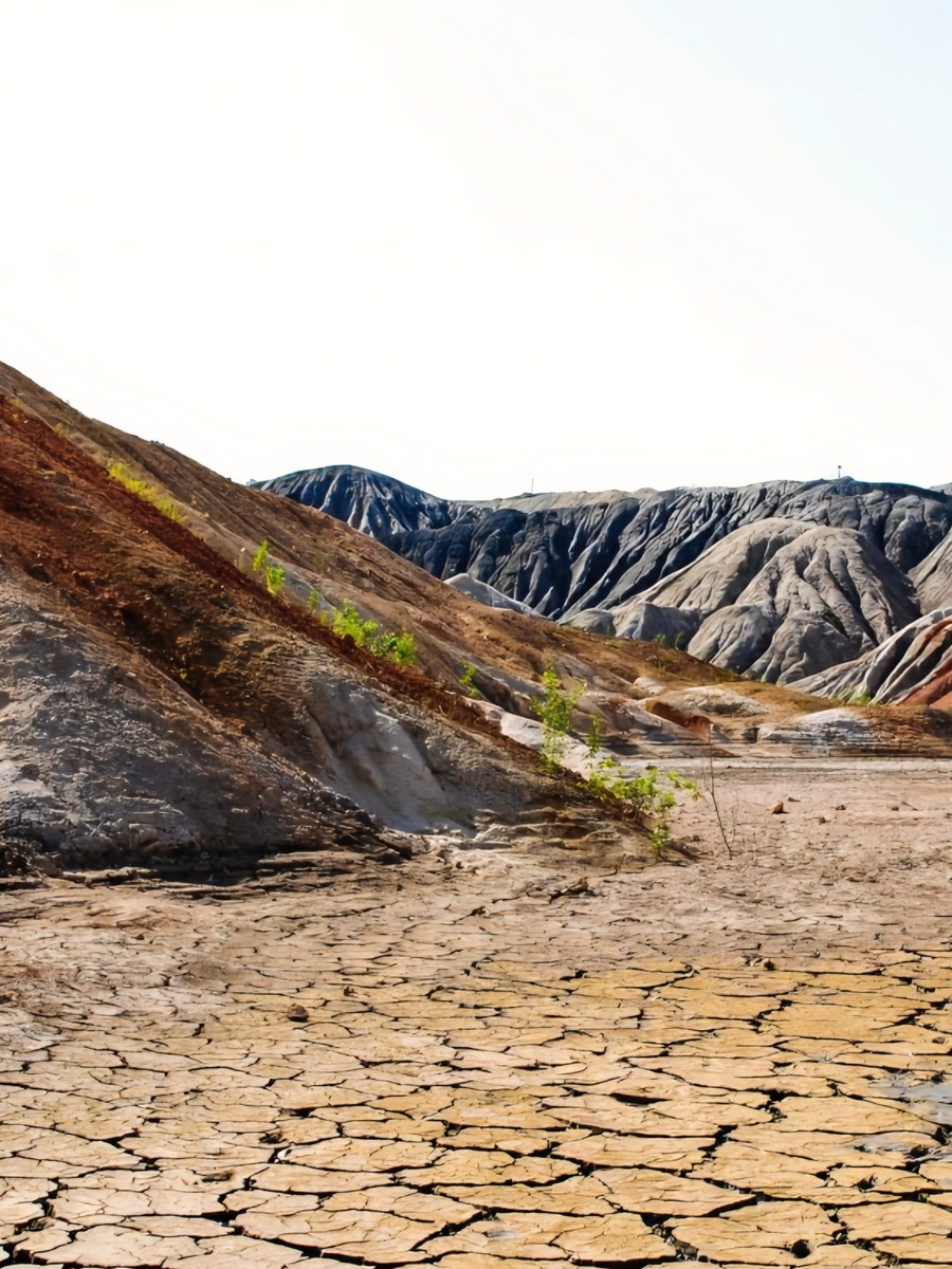 Все фото в статье авторские, собраны из архивов разных лет