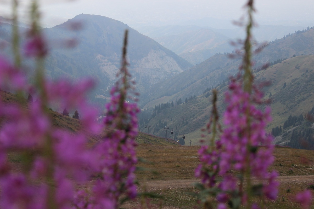 Медео — крупнейший в мире высокогорный комплекс для зимних видов спорта с самой большой площадью искусственного ледового поля