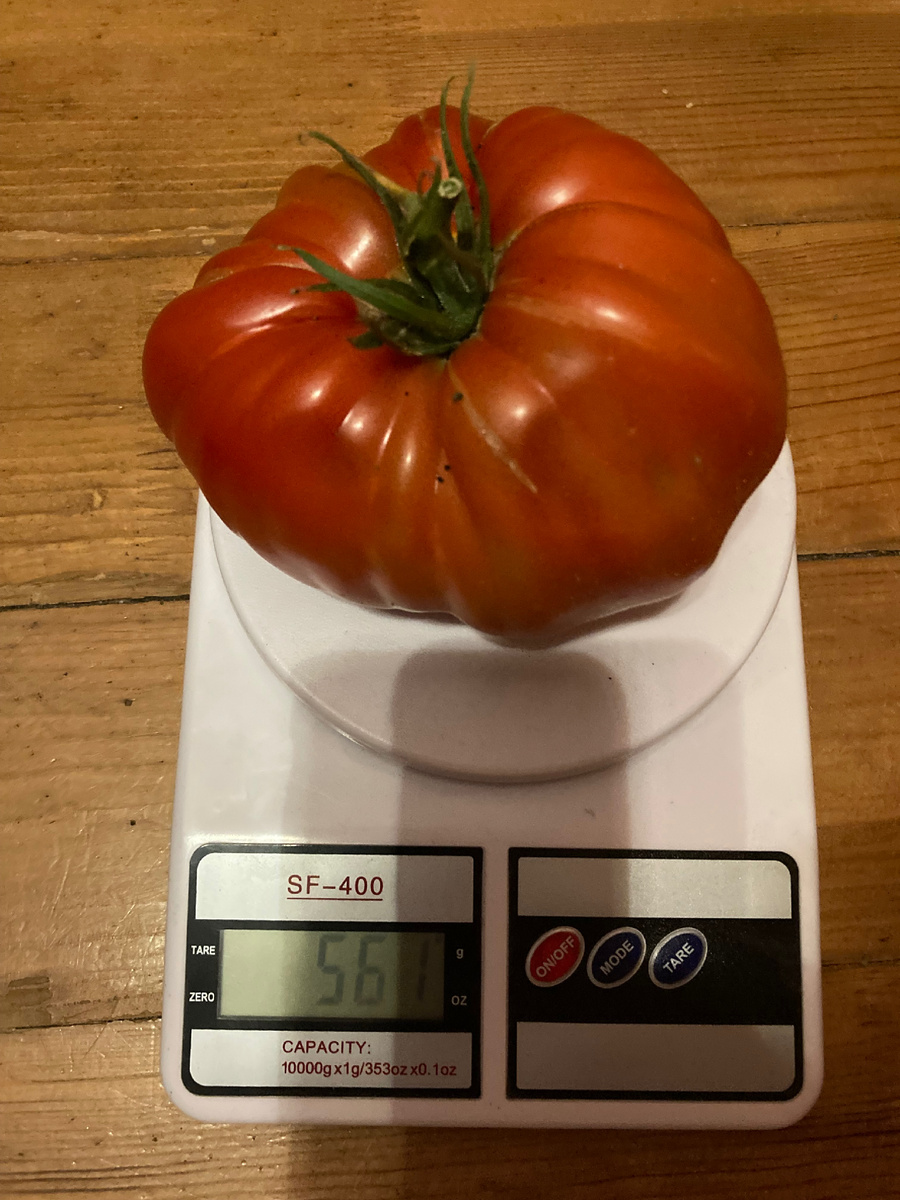 Бриллиант опендисано