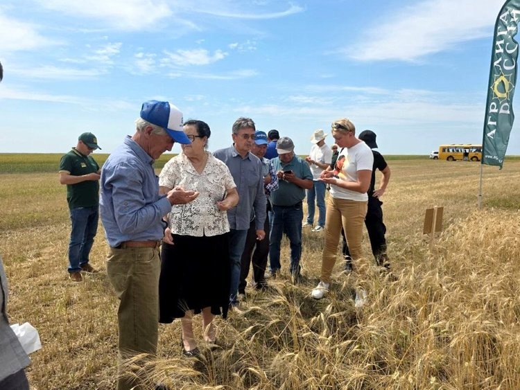    Фото: Минсельхоз Челябинской области