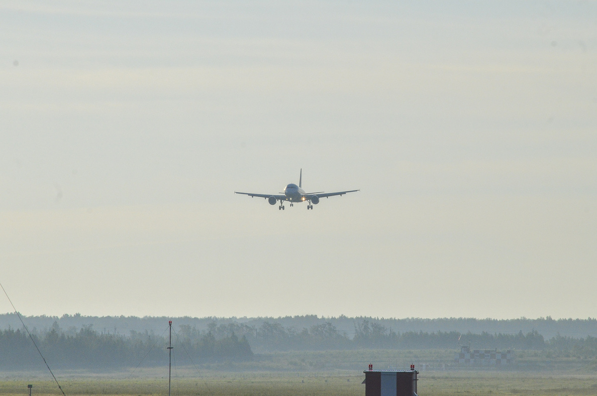Основные убытки связаны с отменами и задержками рейсов, которые авиакомпании вынуждены объявлять в периоды запретов на полеты.  Фото: Фото: ФедералПресс / Дмитрий Шевалдин