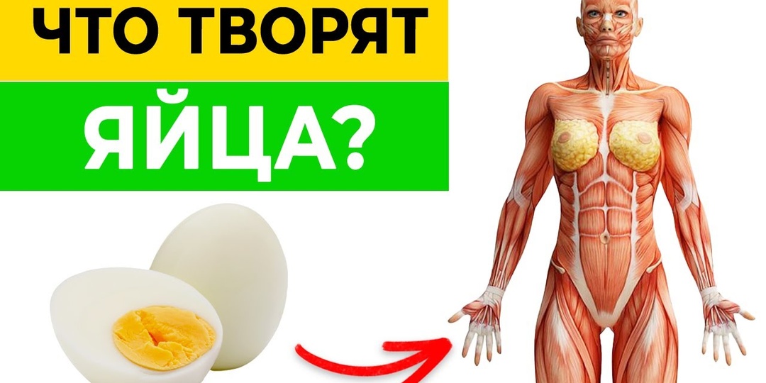Что Происходит с Организмом, Если Есть 2 Яйца в День: Полный Разбор Полезных Свойств