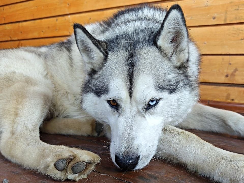    Фото: Максим Зубарев