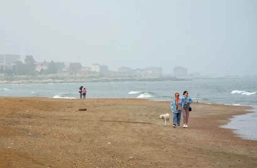     © РИА Новости. Алексей Даничев