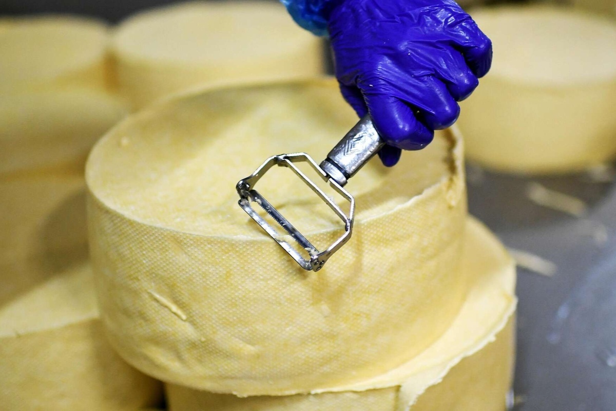    Константин Михальчевский Источник: ria.ru