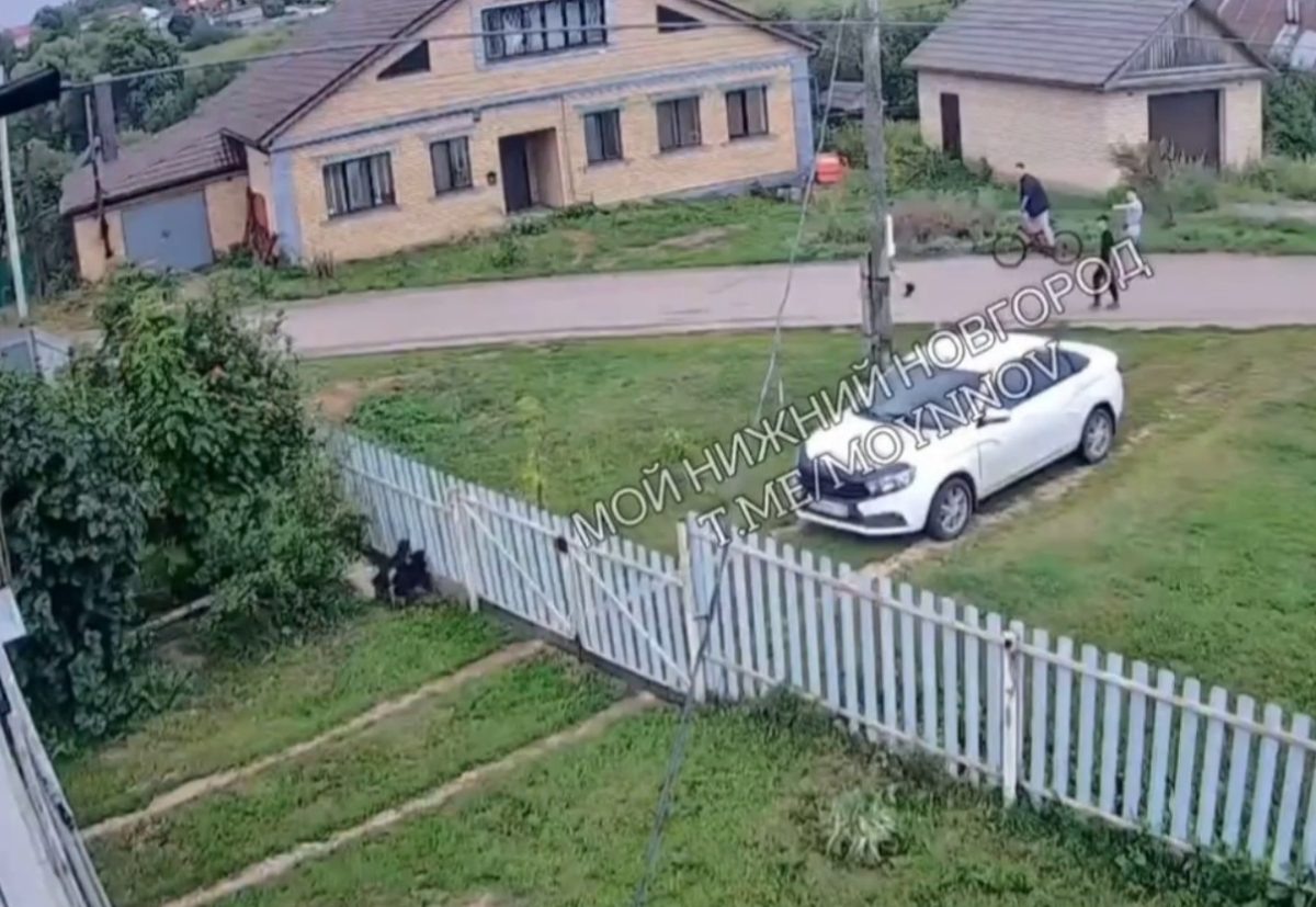    Полицейские уже установили личности стрелков и провели с ними профилактические беседы