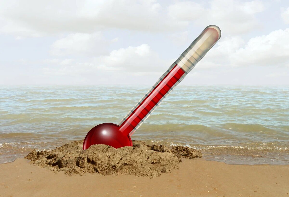    Фото: Lightspring\shutterstock