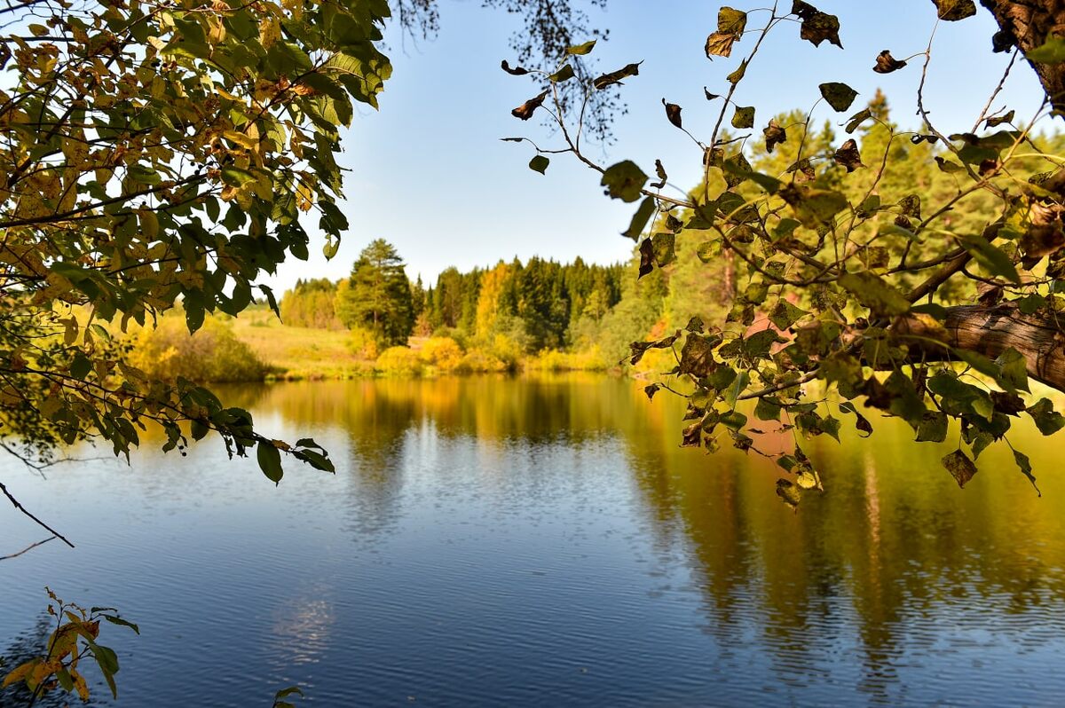    © Константин Долгановский