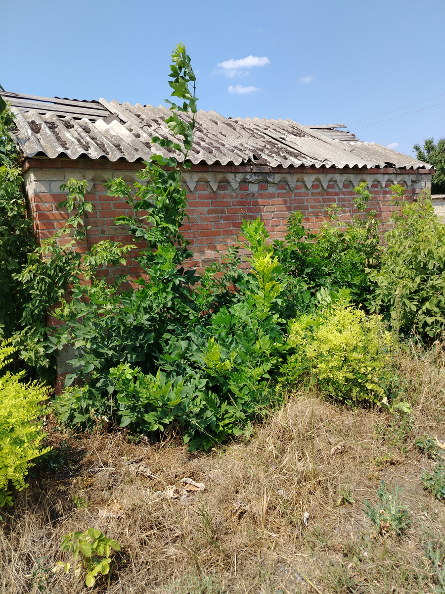 Манычская - станица котнтрастов!