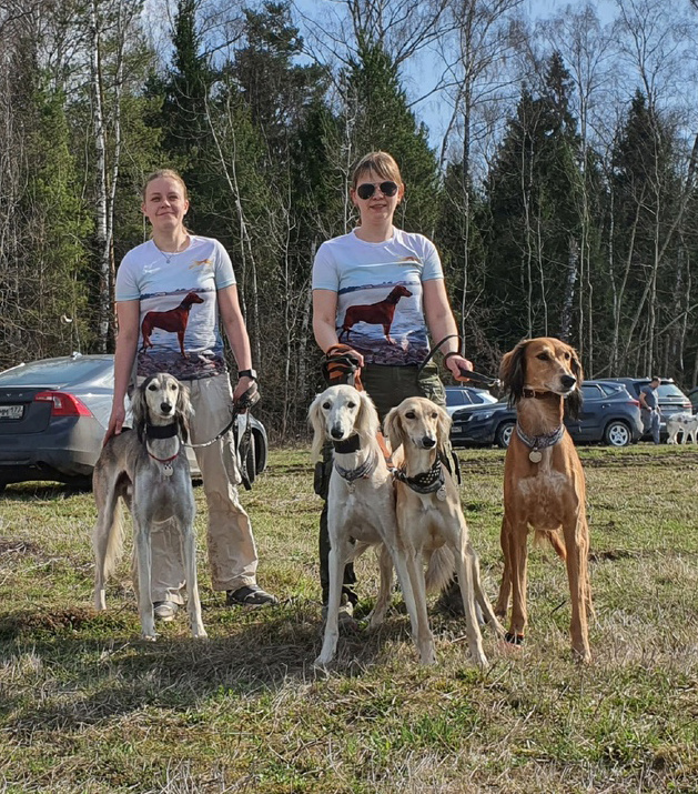 Сэхра Эль Мерген Басир, Сэхра Эль Мирасдар, Сэхра Эль Мен Лелап, Сэхра Эль Амир. Борзые Тазы.