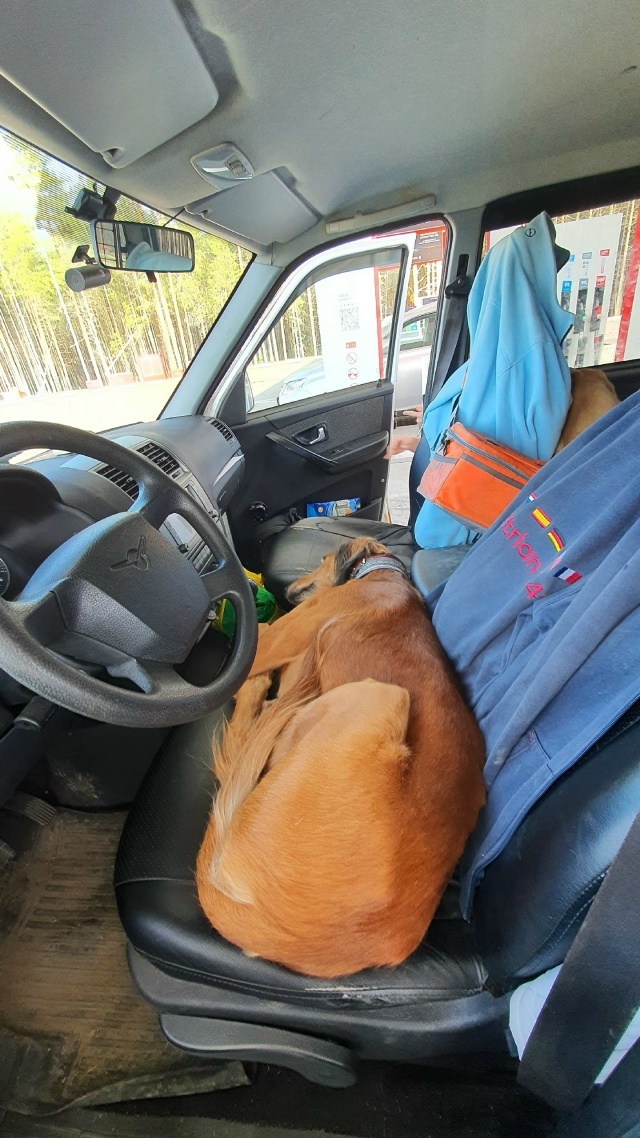 Дорожные фотозаметки