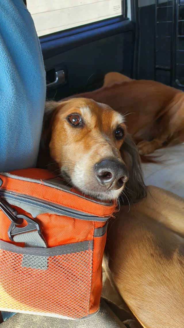 Дорожные фотозаметки