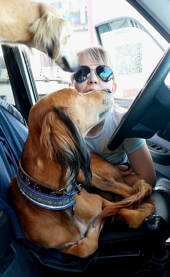 Дорожные фотозаметки