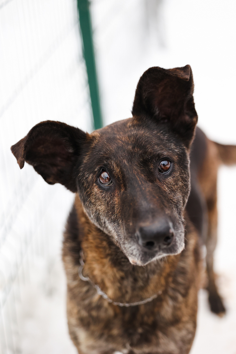 Неужели я когда-нибудь дождусь этих слов?