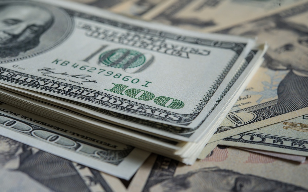    Курские власти замечтали об экспорте на 1,8 млрд долларов к 2030 году Фото – ru.freepik.com