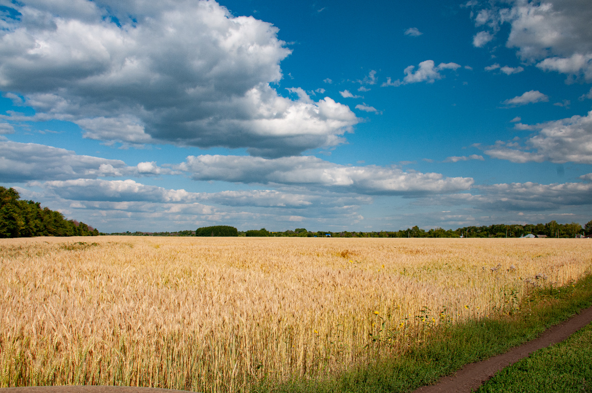 фото:Svetlana Vozmilova/Global Look Press