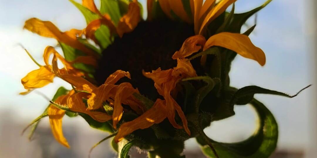 "Вы окружаете себя людьми, с которыми вы смеетесь"