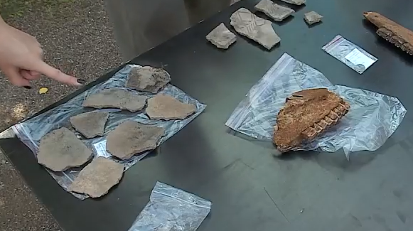     На острове Татышев нашли археологические артефакты прошлых тысячелетий