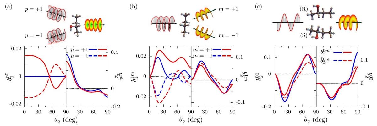    Рисунок 2. Асимметрия фотоэлектронов для разных типов молекул. Графики показывают коэффициенты асимметрии (b) в зависимости от параметра θq. Синие линии — ахиральный н-бутан, красные — хиральный 2-бутанол. (a) Хиральные молекулы с циркулярно-поляризованным светом (p=±1) демонстрируют асимметрию для обычных электронов (m=0). (b) При детектировании вихревых электронов (m=±1) асимметрия наблюдается даже для ахиральных молекул. (c) Линейно-поляризованный свет выявляет разницу между энантиомерами (R/S) через асимметрию вихревых электронов (m=1) / © Kirill V. Bazarov et al., Physics Letters A.