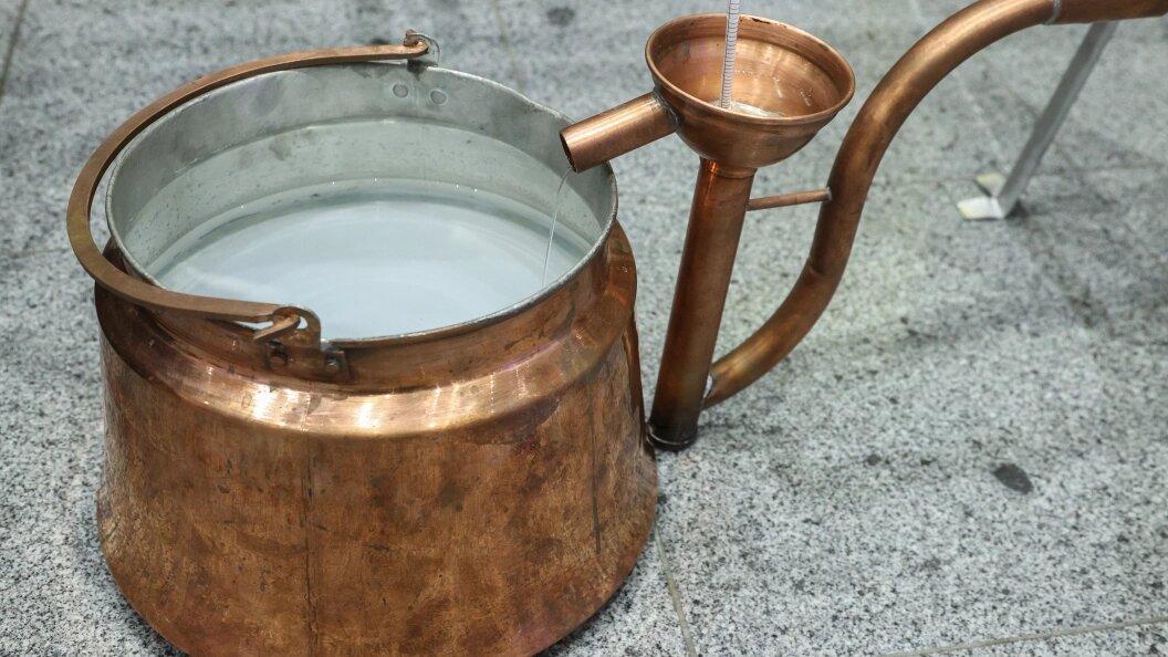    Фото: Bulkin Sergey/Globallookpress