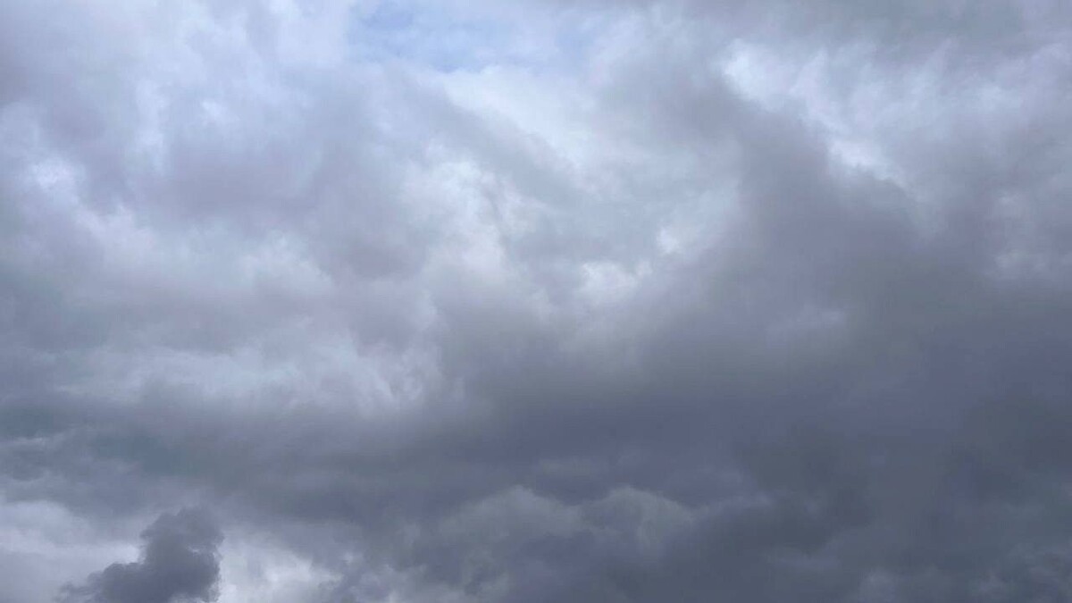    Фото: телеканал «Краснодар»