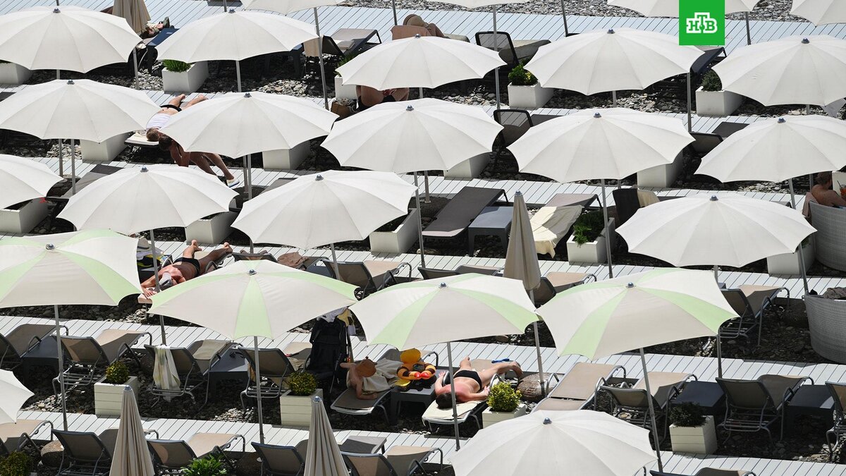    Фото: РИА Новости © 2025, Екатерина Лызлова