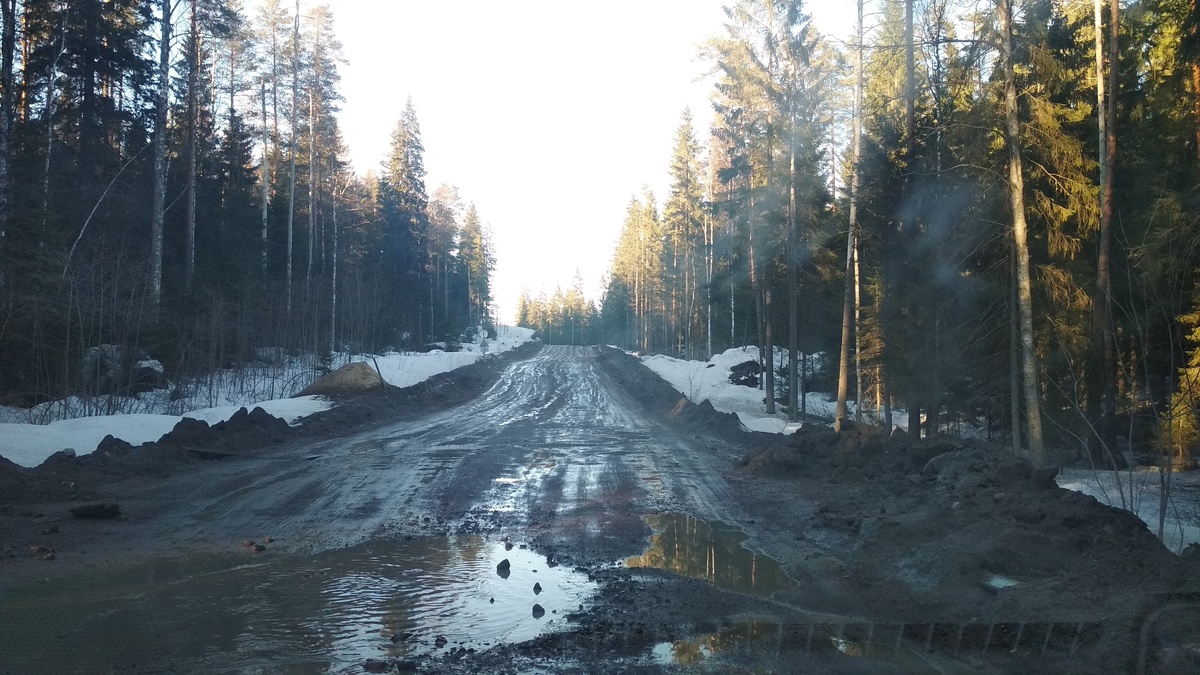 Граница Карелии и Ленинградской области в 2019 году