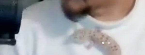 Одногруппники успели даже сделать скриншот во время занятия 