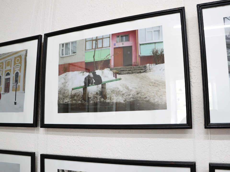    Фото: Коломенская картинная галерея «Дом Озерова»