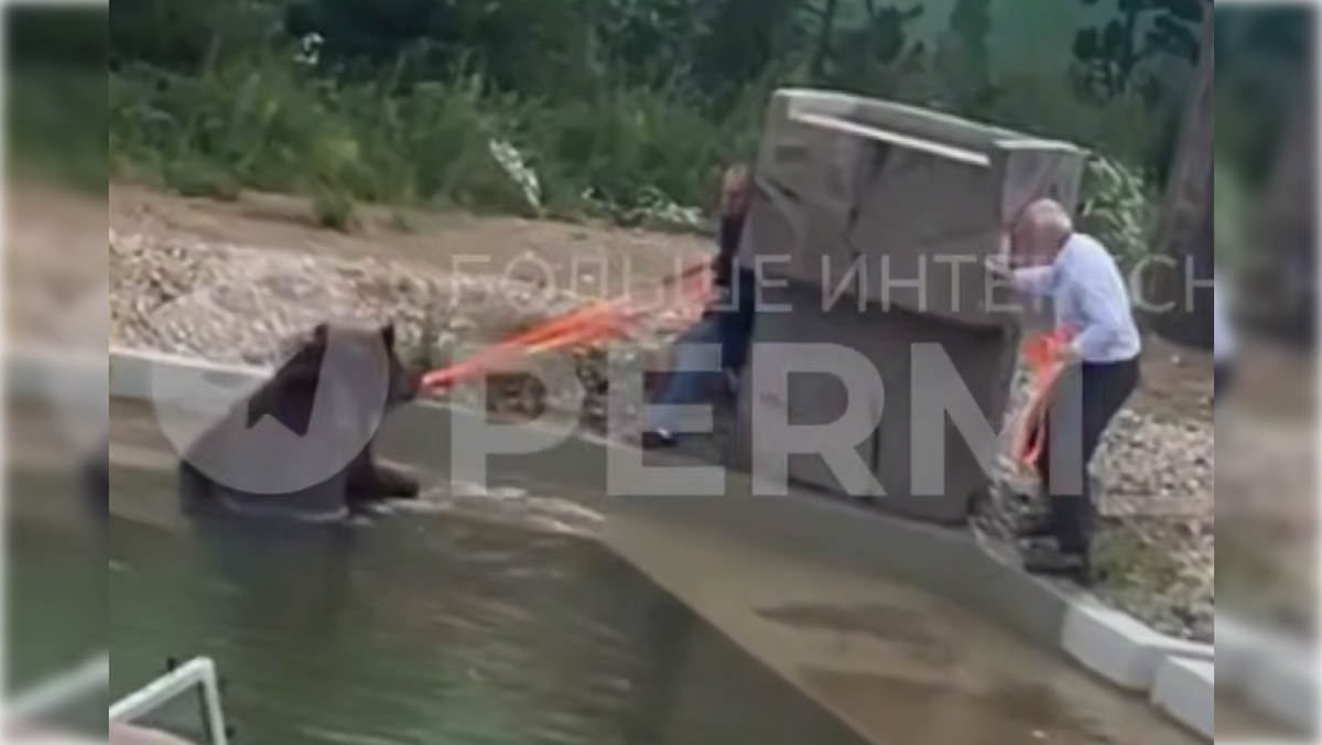 Фото: t.me/Perm_Active