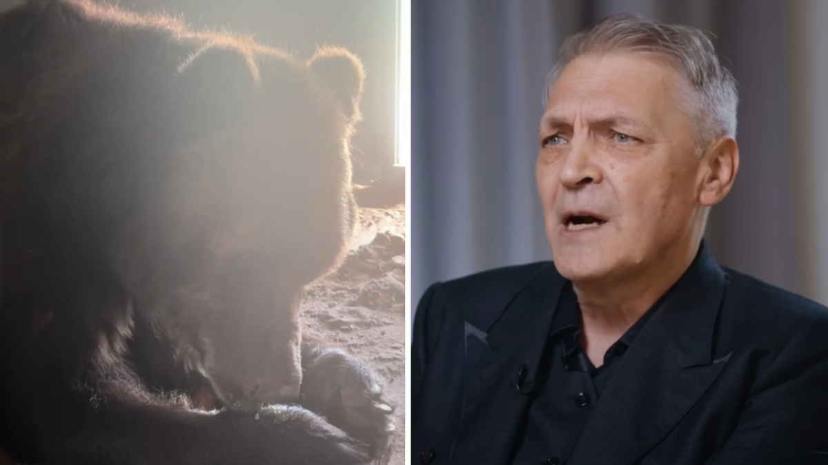 Фото: vk.com/permskiyzoopark / youtube-канал Юрия Дудя*