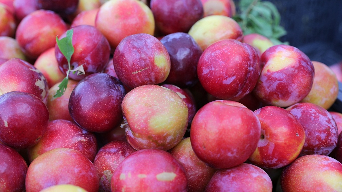     Фото: Станислав Телеховец