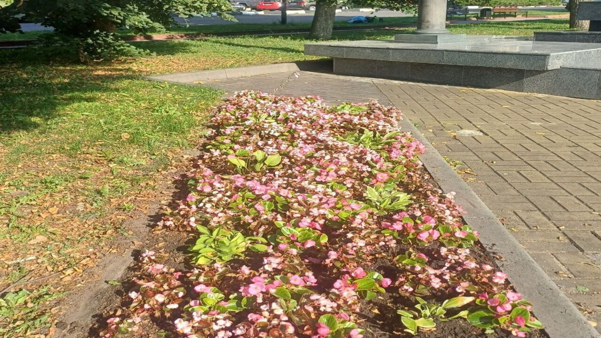    Курск расцветает: клумбы ждут тысячи растений