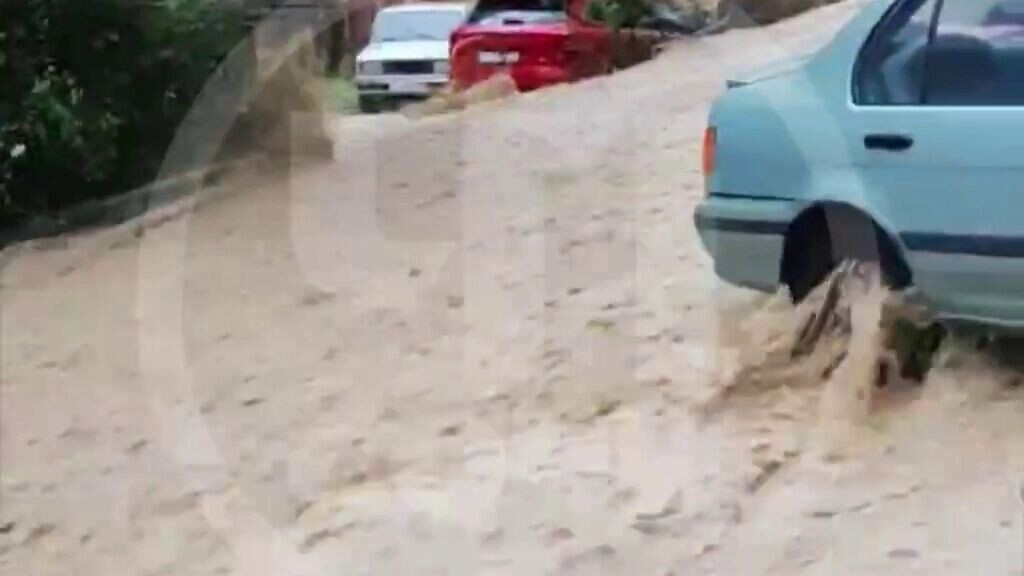     Источник: телеграм-канал ЧП Сочи