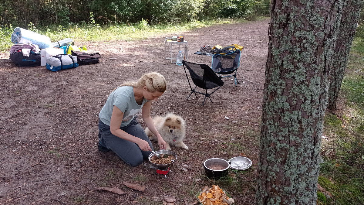 Это я, Кочеткова Наталья, приятно познакомиться с кем ещё не знакомы. Я научный психолог (очное обучение в МГУ по направлениям клиническая психология, нейропсихология) и автор большинства статей на этом канале. Также иногда статьи создаются из мыслей читателей, историй доверителей и пользователей нашего сайта KgMinus.ru.