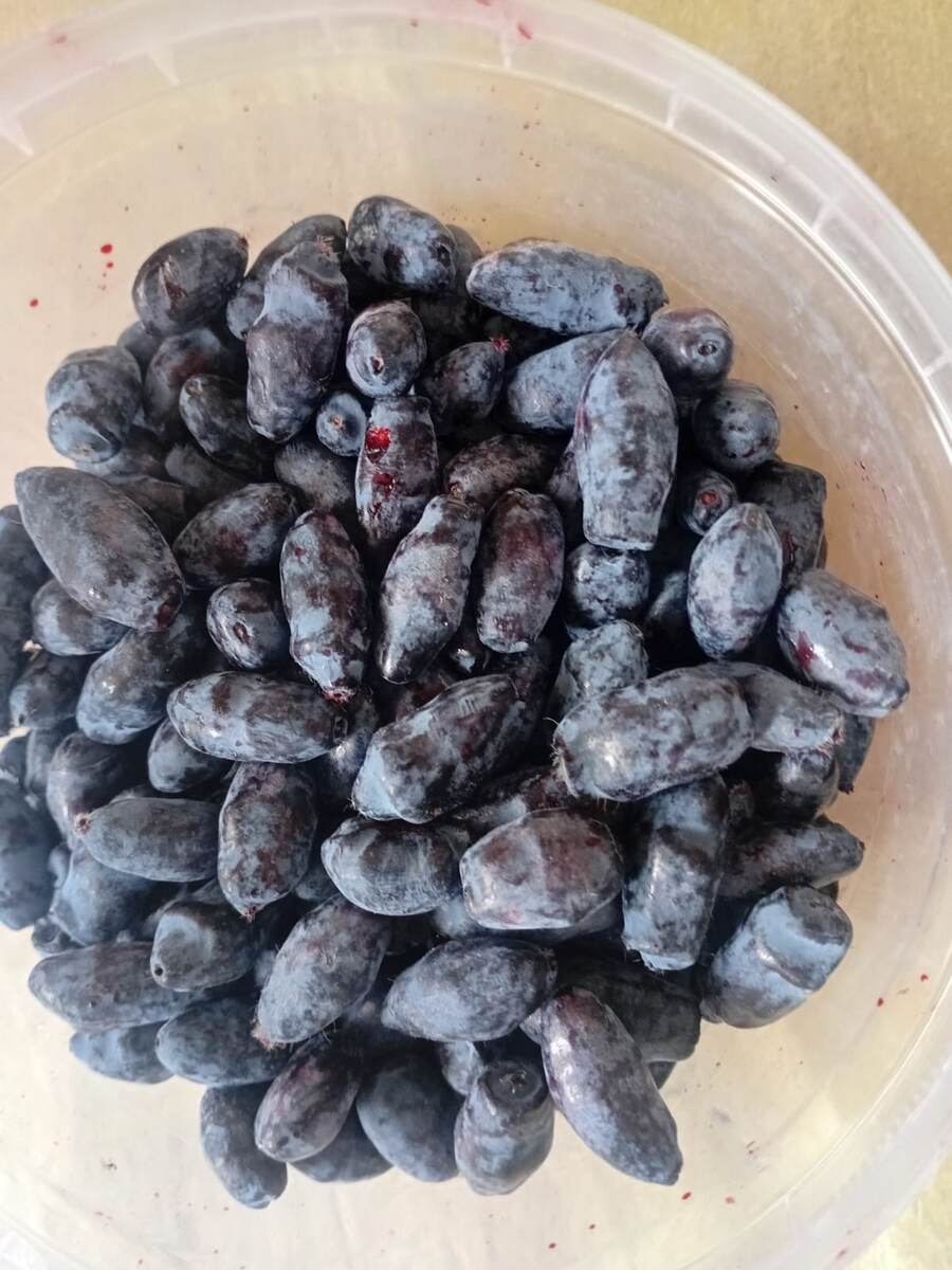 Фото моей подруги