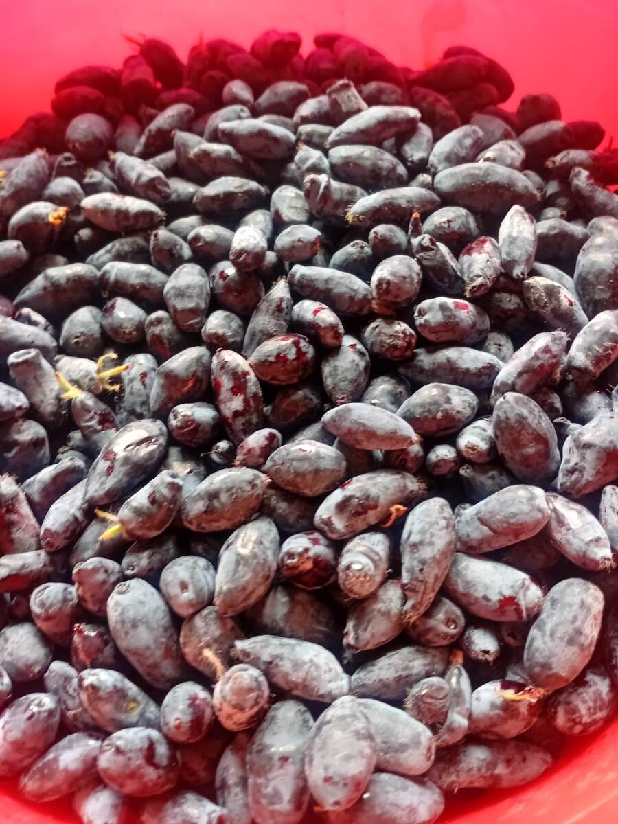 Фото моей подруги 