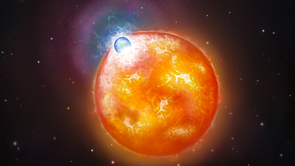 Масса белого карлика на 20 % больше массы Солнца. Источник: Снехалата Саху / Уорикский университет