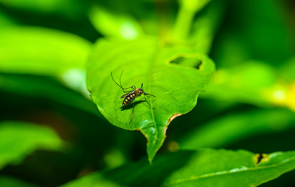 Soumyabrata Roy via Reuters Connect