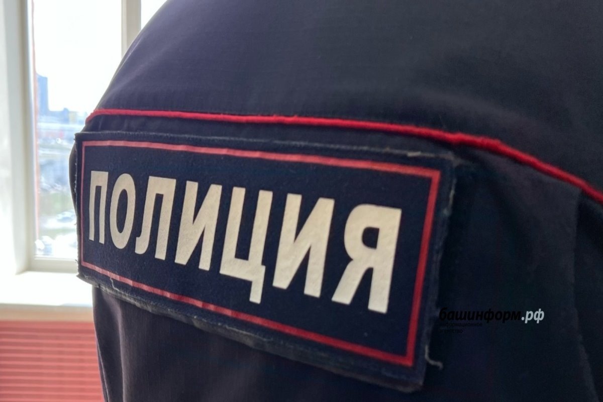    Фото: Ксения Калинина, источник: bashinform.ru