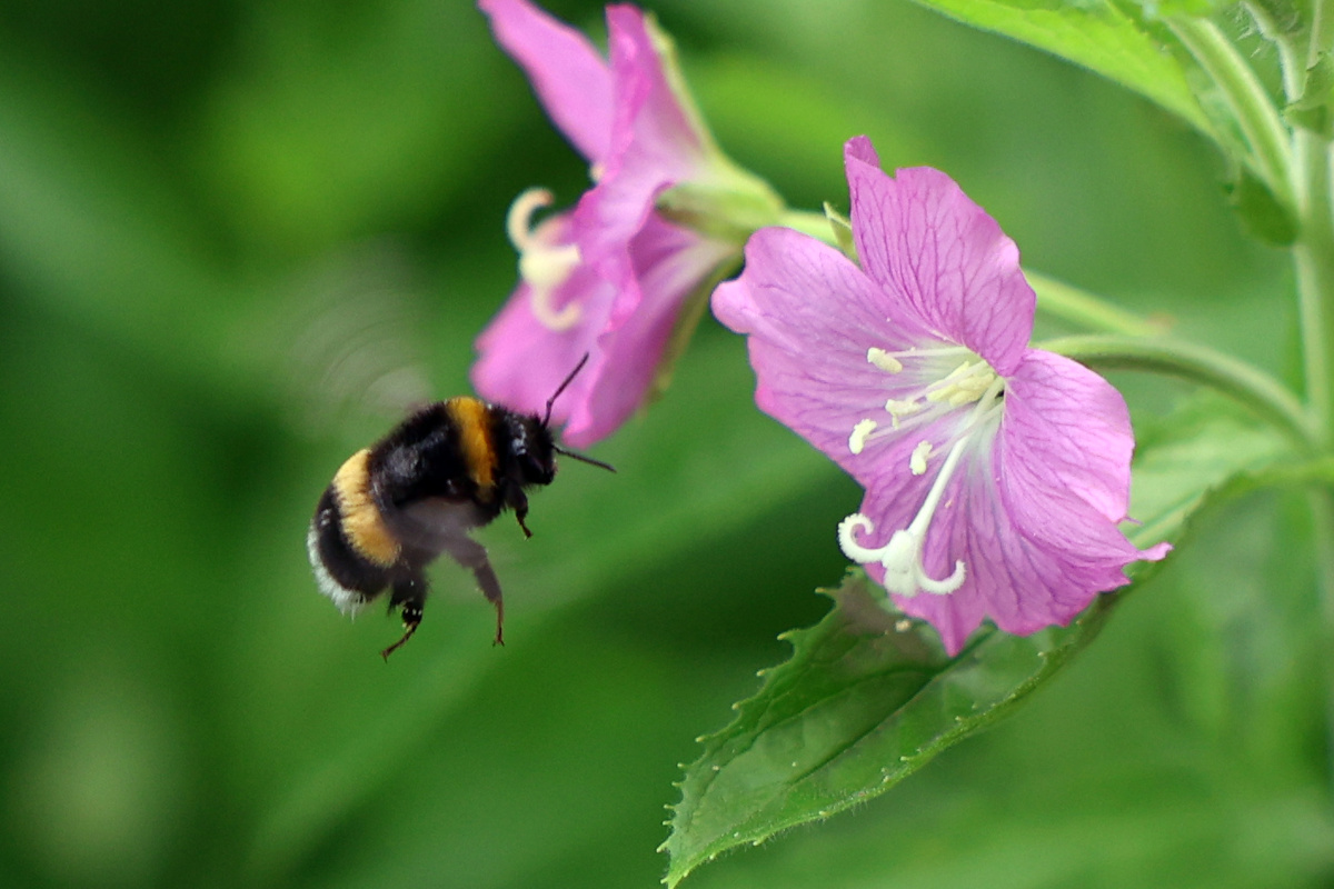 Фото экоцентр "Яуза"