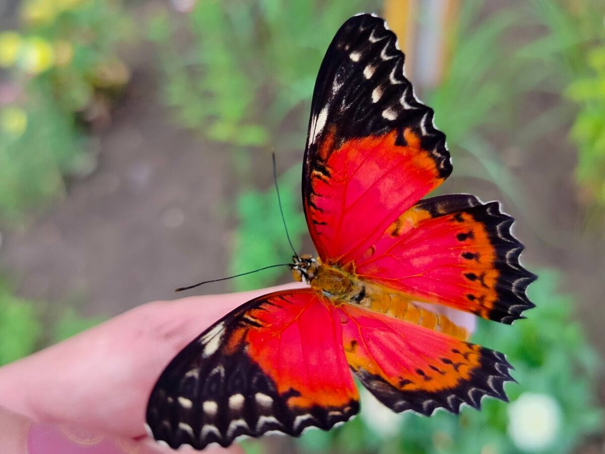 Фото экоцентр "Яуза"