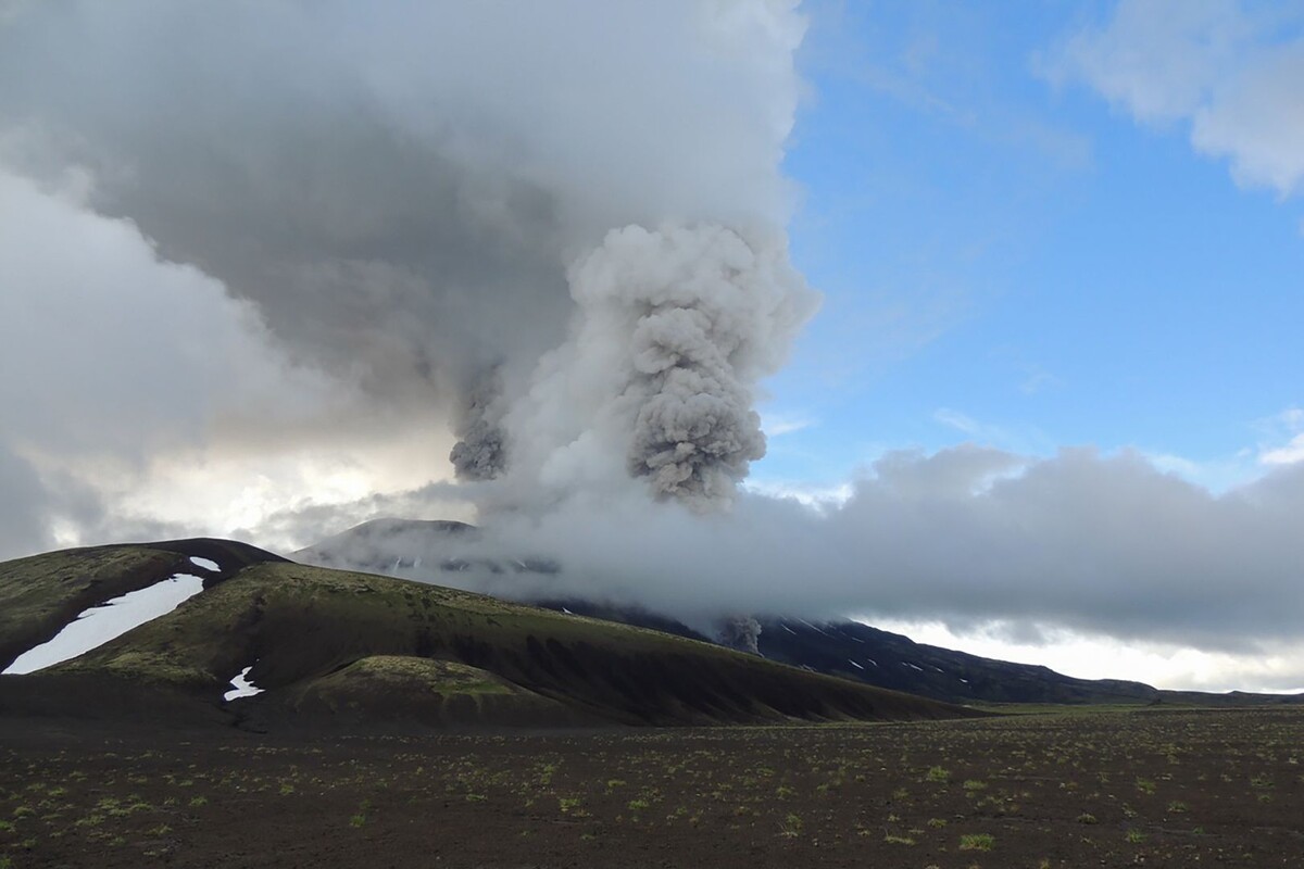     / Источник: © Наталья Акбирова/ФГБУ «Кроноцкий государственный заповедник"/ТАСС