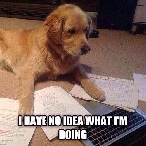 Изображение из открытых источников