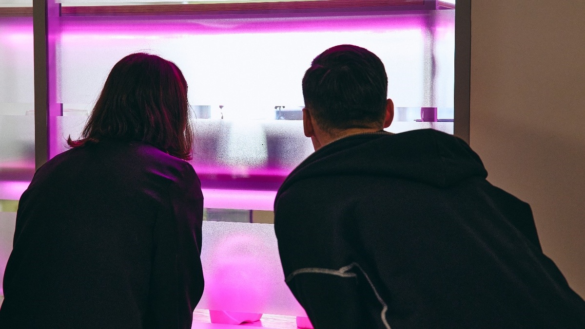 Школа №142, ЖК «Северная долина». Фото: «Главстрой Санкт-Петербург».