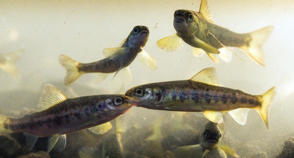    Soeren Stache/ZB / www.globallookpress.com