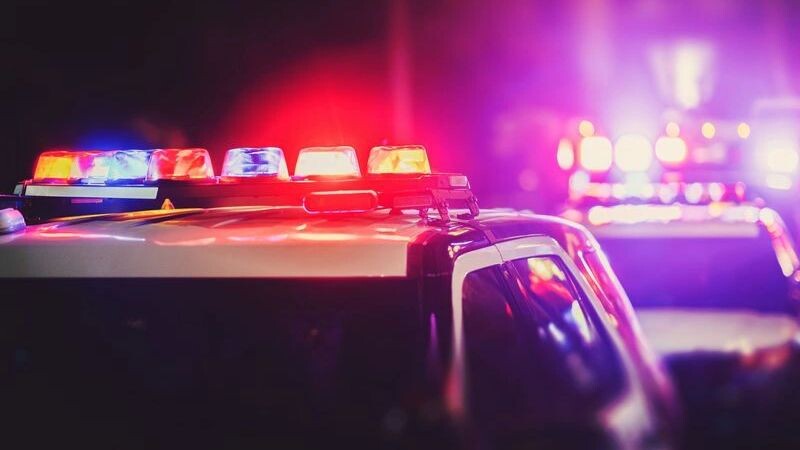    Фото: PCVR-118530/Shutterstock/Fotodom