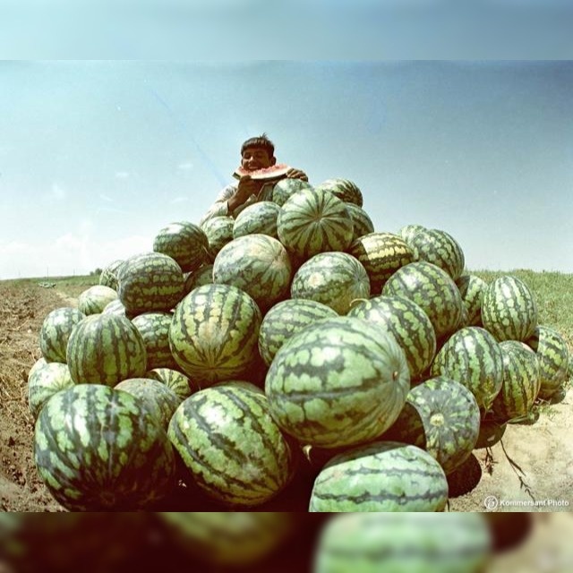 Источник фото: https://conf.7ya.ru/fulltext-thread.aspx?cnf=misc&trd=263435