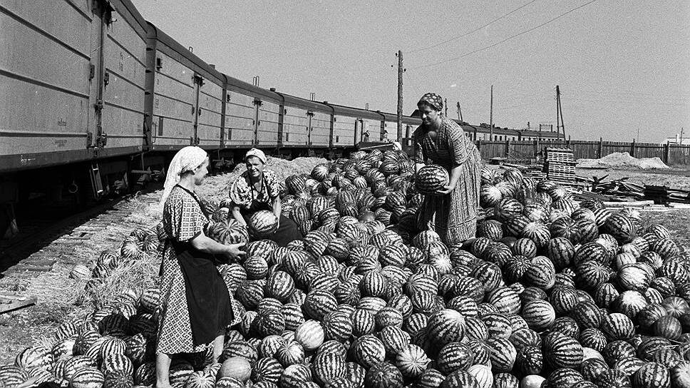 Источник фото: https://zavodfoto.livejournal.com/6739825.html