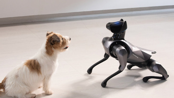 Электронные питомцы заёвывают рынок. Заменят ли они животных?